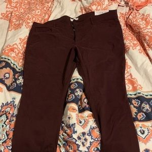 Ann Taylor loft pants